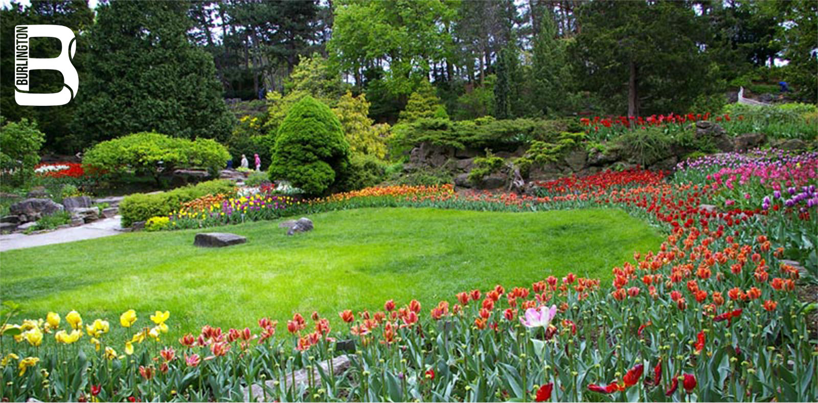 Rock Garden pic by Vladislav Litvinov